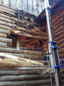 log-home-maintenance